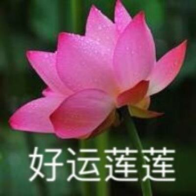 pg电子娱乐官网游戏下载手机版截图